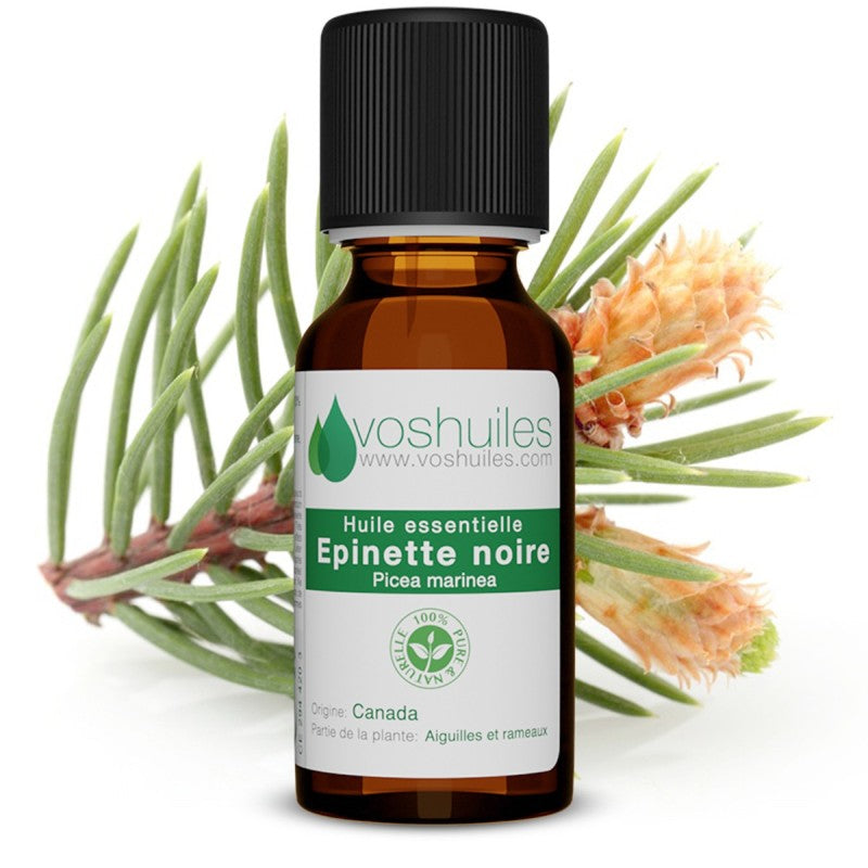 Huile essentielle d'épinette noire