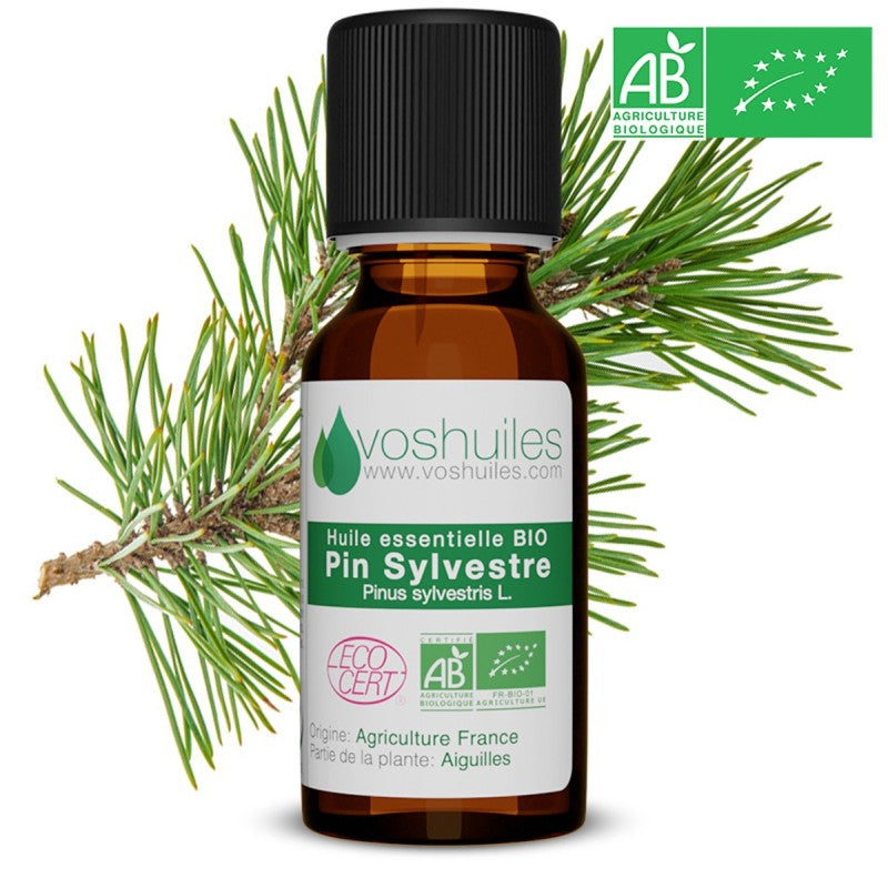Huile essentielle BIO de pin Sylvestre