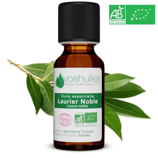 Huile essentielle BIO de basilic
