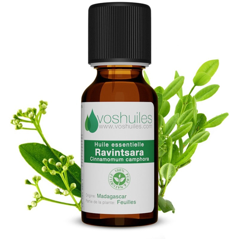 Huile essentielle de ravintsara